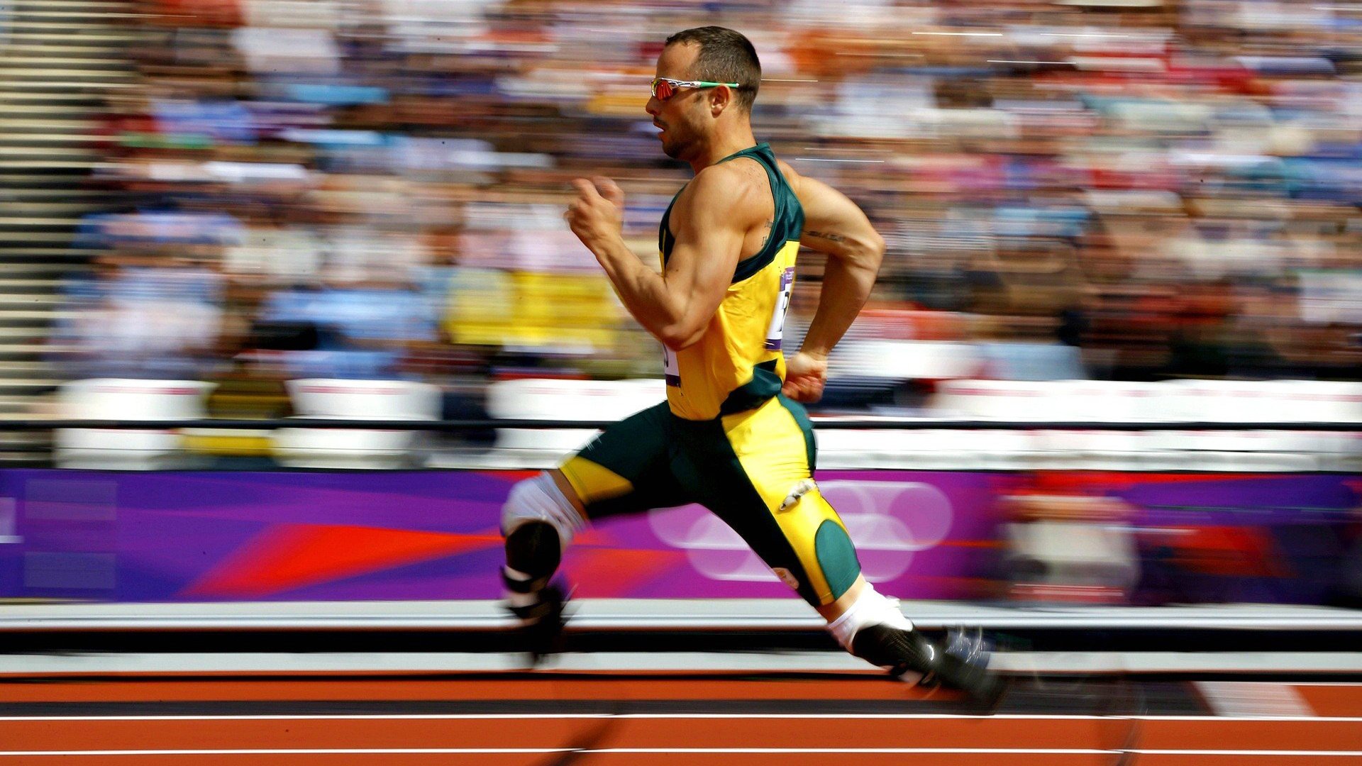 “费尔南多·比亚尔巴在阿根廷美洲狮队中的决定性角色”