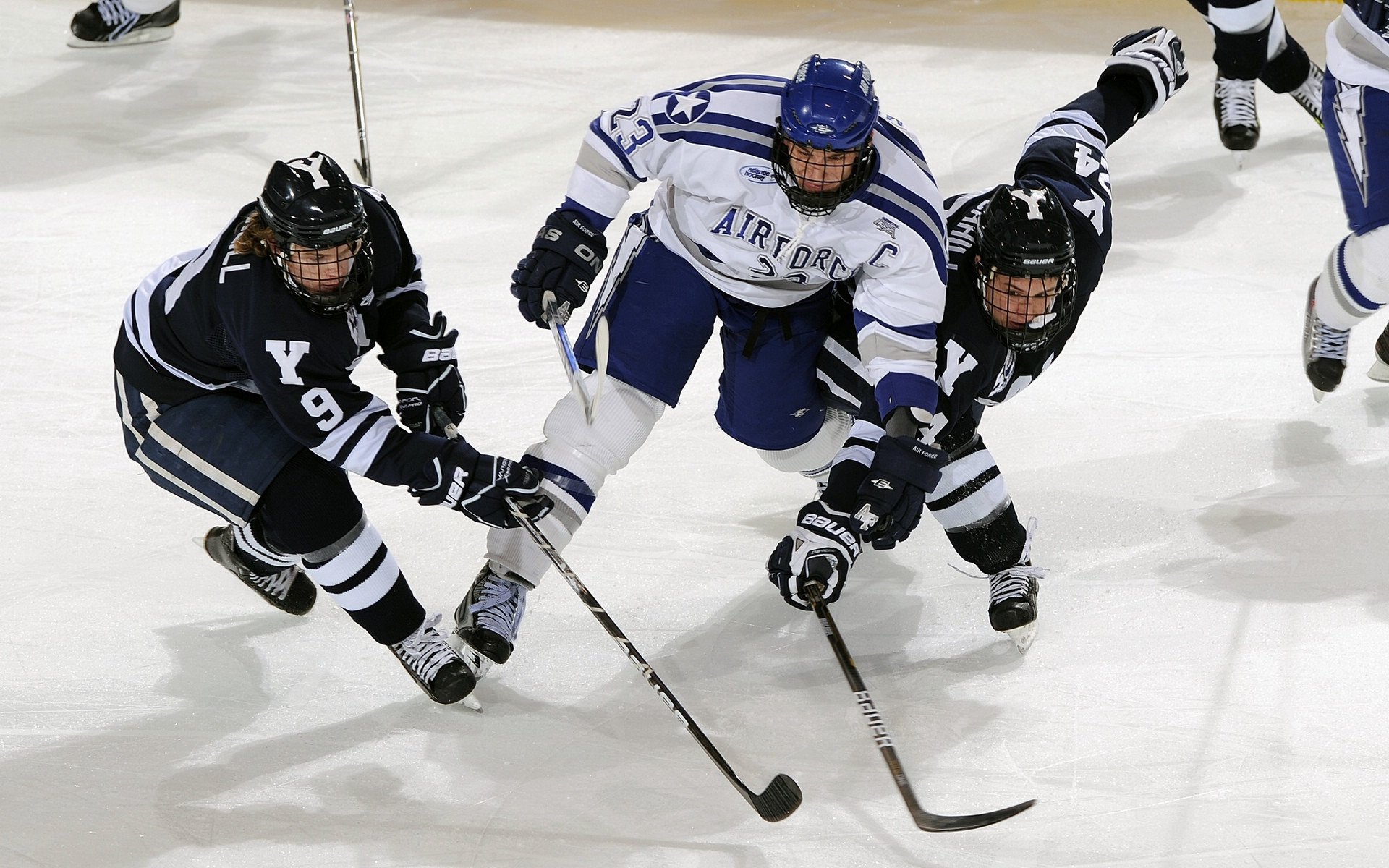 法国新星崭露头角，未来前景广阔